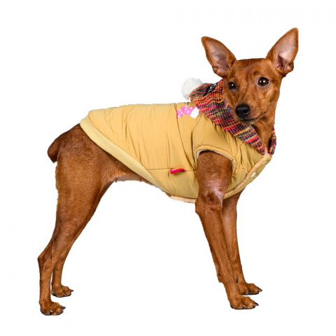 Куртка с капюшоном для собак S желтый (унисекс) 4