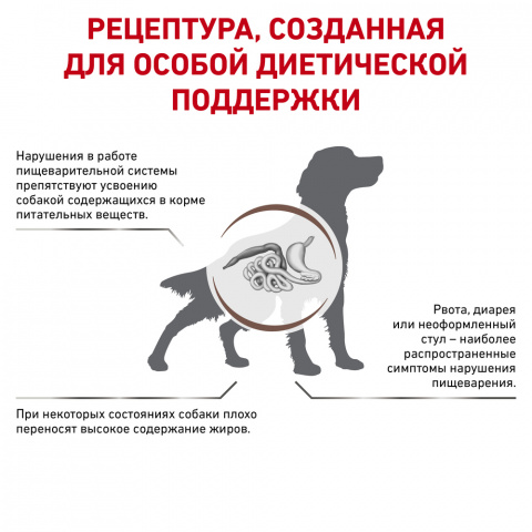 Gastro intestinal low 2024 fat 12 kg