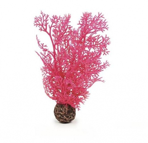 Растение Морской веер (горгонария) S розовый