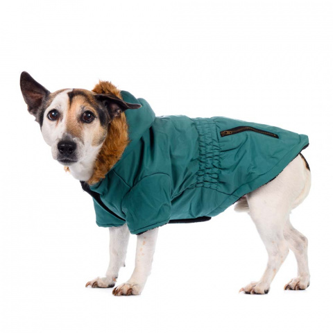 Куртка приталенная с меховым капюшоном для собак L зеленый (унисекс) 3