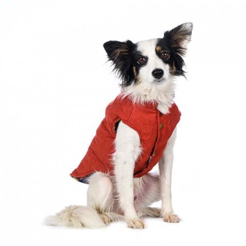 Куртка двухсторонняя для собак L оранжевый (унисекс) 4