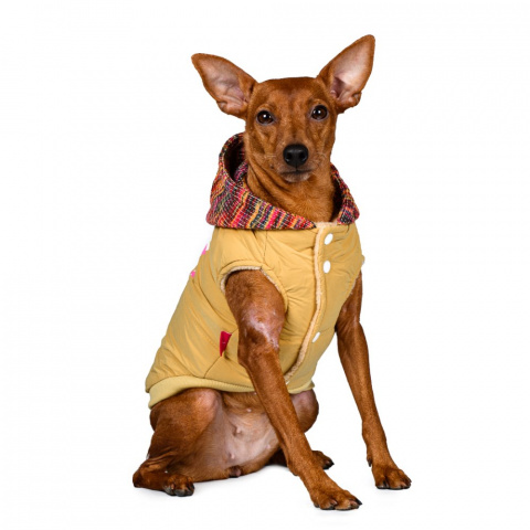 Куртка с капюшоном для собак S желтый (унисекс) 3