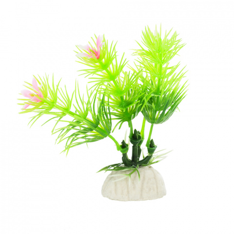 Растение зеленое с цветками 8см