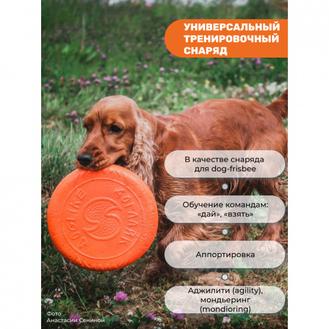 Игрушка для собак Тарелка летающая диаметр 18 см малая оранжевая, толщина 2,3 см, для собак малых и средних пород (снаряд, пуллер) 3