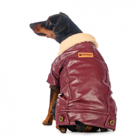 Куртка из кожзама для собак L бордовый (унисекс) 2