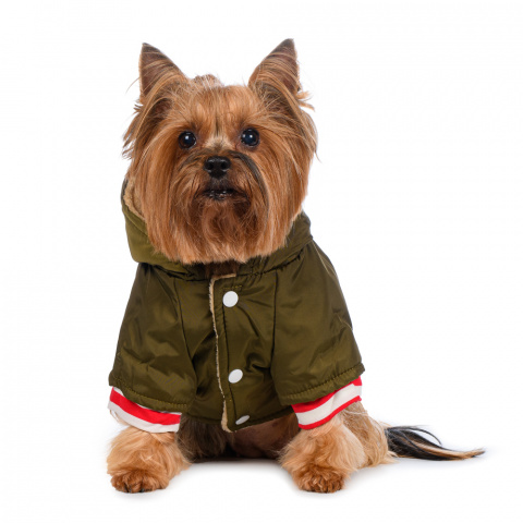 Куртка с капюшоном для собак XS зеленый (унисекс) 1