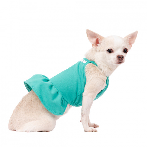 Платье для собак с ромашкой S зеленый (девочка) 1