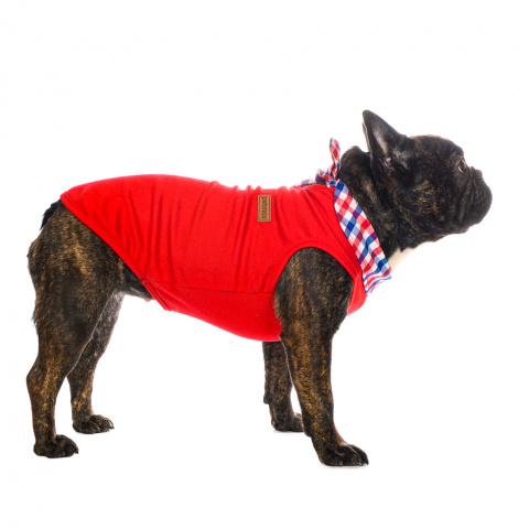 Футболка с галстуком для собак XL красный (унисекс) 1