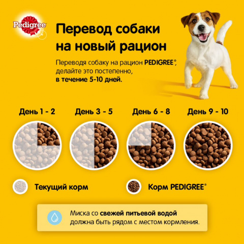 Сухой корм для взрослых собак всех пород, с говядиной, 2,2 кг 9