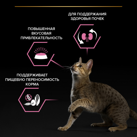Delicate сухой корм для взрослых кошек при чувствительном пищеварении с ягненком, 10 кг 4