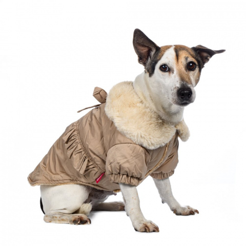 Куртка-плащ для собак 3XL бежевый (унисекс) 3