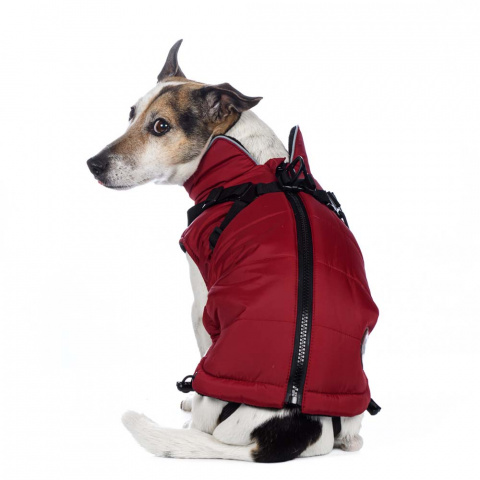 Попона теплая со шлейкой для собак средних пород Французский бульдог M бордовый (унисекс) 4