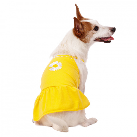 Платье для собак с ромашкой M желтый (девочка)