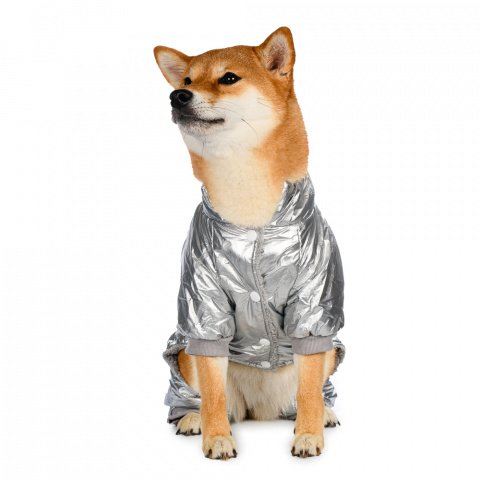 Комбинезон для собак серебряный XL 1