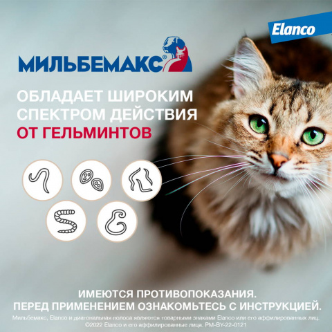 Мильбемакс Таблетки от гельминтов для крупных кошек весом более 2 кг, со вкусом говядины, 2 таблетки 4