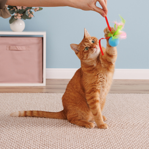 Feline Clean игрушка для кошек Dental Мячик из каната, ленты и перья
