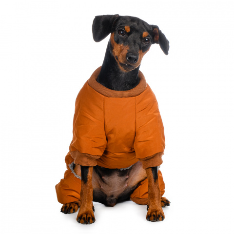 Комбинезон для собак на молнии оранжевый 2