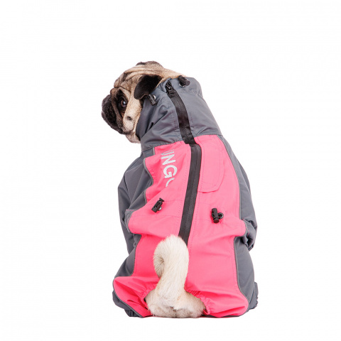 Дождевик для собак Йорк, Чихуа девочка бутон вишни размер XL, 34x33x62 см 1