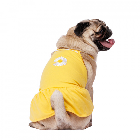 Платье для собак с ромашкой 2XL желтый (девочка)