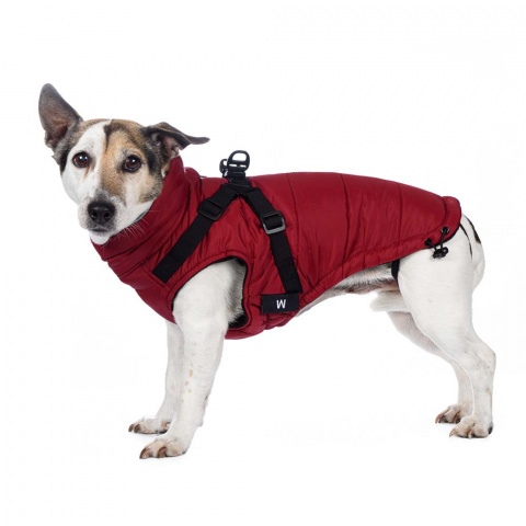Попона теплая со шлейкой для собак крупных пород Французский бульдог XL бордовый (унисекс) 5