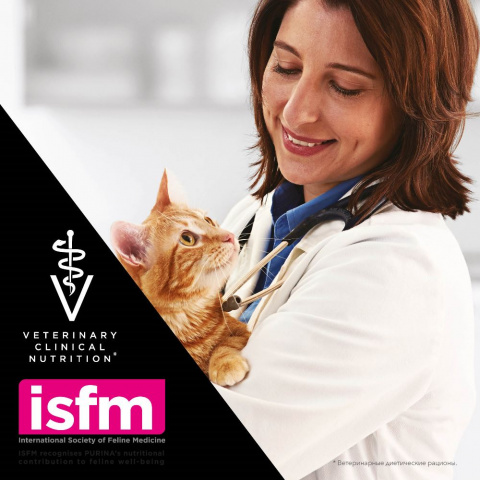 Veterinary Diets NF сухой корм для взрослых кошек при хронической почечной недостаточности, 1,5 кг 9