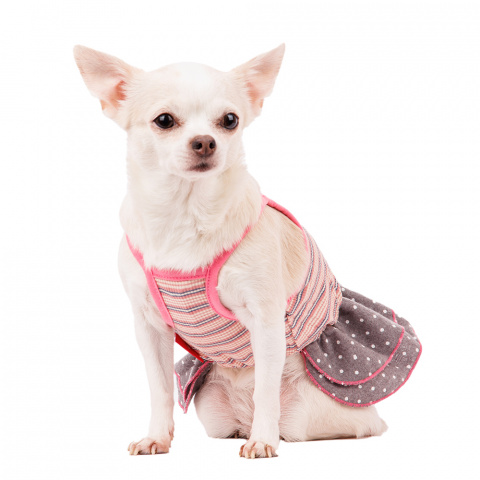 Платье для собак с бантиком S розовый (девочка) 1