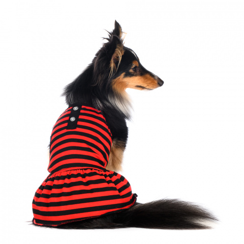 Платье S для собак в полоску красное 4