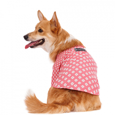 Рубашка для собак 2XL розовый (унисекс)
