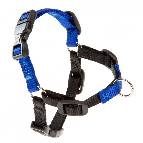 Шлейка для собак с кольцом спереди Coach P, M, синяя