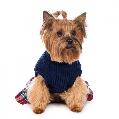 Платье-свитер с юбкой для собак M синий (унисекс) 1
