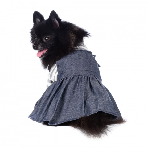 Платье для собак XS серый (девочка) 6