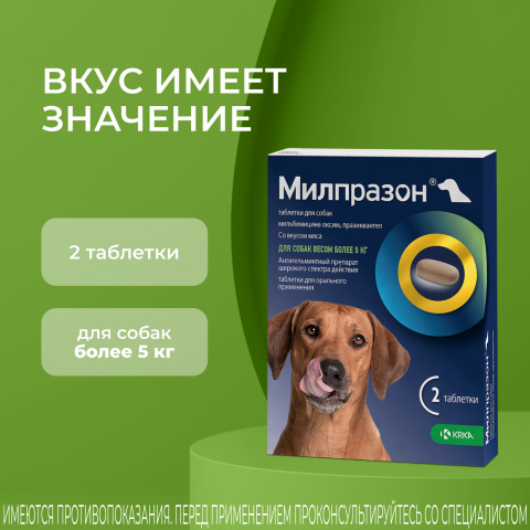 Милпразон Антигельминтные таблетки для собак весом более 5 кг, 2 таблетки,  цены, купить в интернет-магазине Четыре Лапы с быстрой доставкой