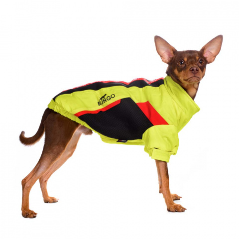 Куртка на молнии для собак мелких пород Карликовый пинчер, Джек Рассел, Бигль 29x42x27см M желтый (унисекс) 3