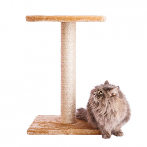 Когтеточка-столбик для кошек Colette на подставке с площадкой, бежевый, 38x38x60 см 1