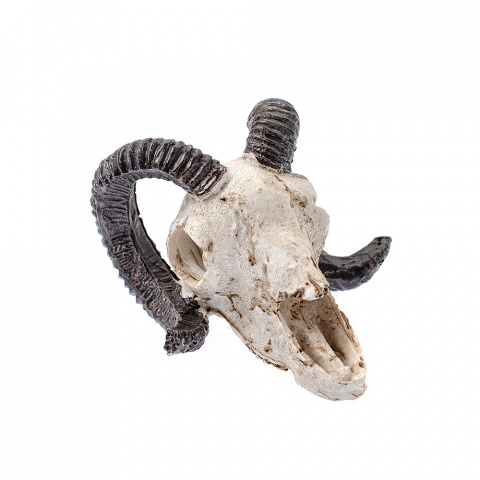 Декор для аквариума, череп барана 10x8x6,5см
