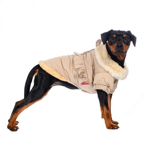 Куртка-плащ для собак S бежевый (унисекс) 7