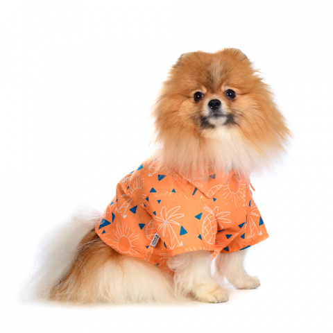 Рубашка для собак с пальмами XL оранжевый (унисекс) 3