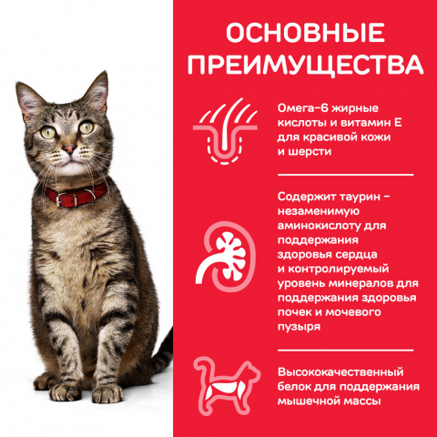 Science Plan Сухой корм для взрослых кошек для поддержания жизненной энергии и иммунитета, с уткой, 300 гр. 3