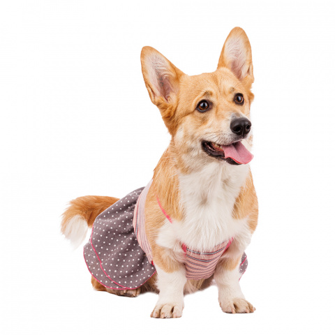 Платье для собак с бантиком 2XL розовый (девочка) 1