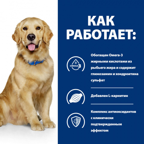 Prescription Diet j/d Сухой диетический корм для собак, способствующий поддержанию здоровья и подвижности суставов, 12 кг 2