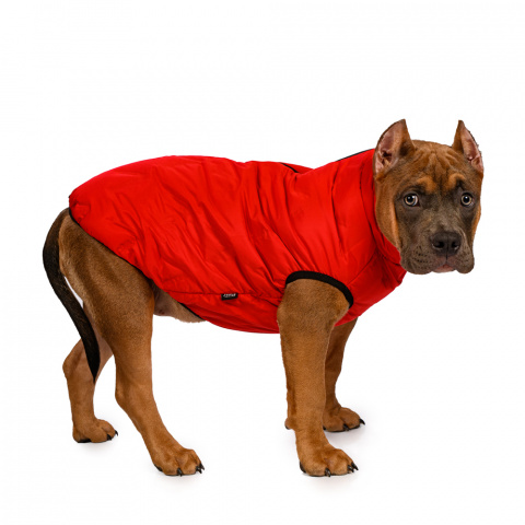 Куртка на молнии для собак XL красный (унисекс)