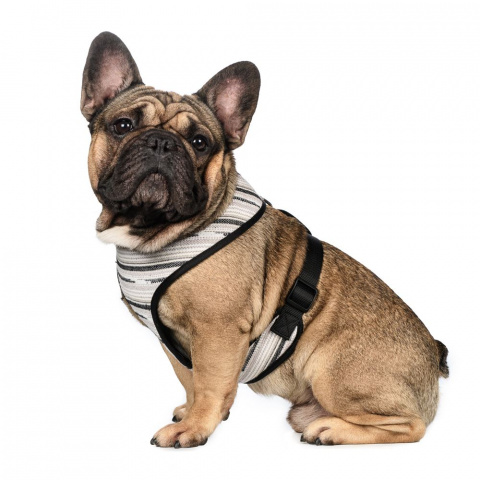 Шлейка для собак XL, серая, обхват груди: 58-78 см 6