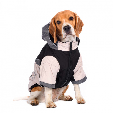 Куртка с капюшоном на молнии для собак крупных пород Джек Рассел, Карликовый пинчер, Бигль 51x72x47см 4XL серый (унисекс) 5