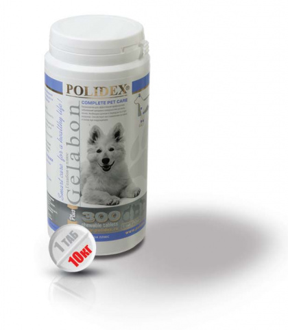 Гелабон+ Кормовая добавка для эффективной профилактики заболеваний хрящей,  суставов и связок у собак, 300 таблеток, цены, купить в интернет-магазине  Четыре Лапы с быстрой доставкой