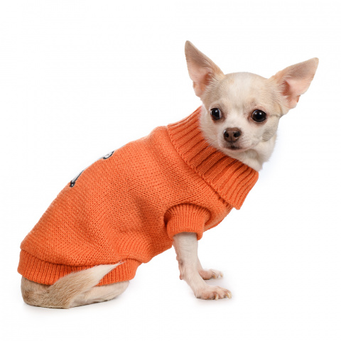 Свитер для собак оранжевый с кроликом 45см