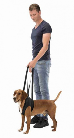 Поддерживающая шлейка для собак, M: 55-65 см/10-25 кг 1