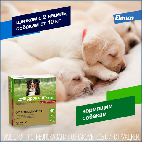 Дронтал плюс XL, Антигельминтный препарат для собак до 70 кг, 2 таблетки 5
