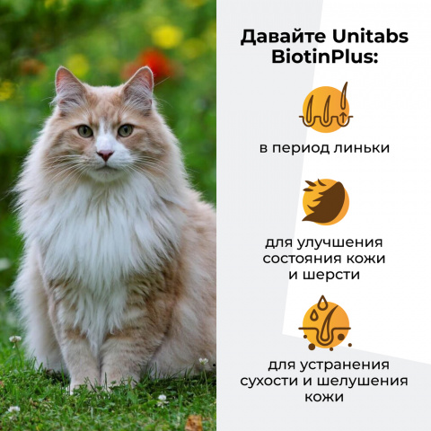 Витаминно-минеральный комплекс для здоровья шерсти и кожи у кошек, 120 таблеток 3