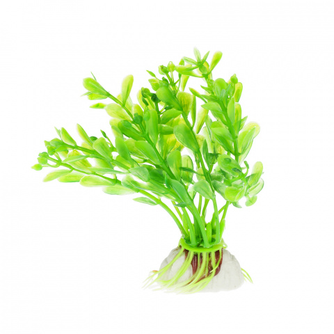 Растение зеленое 8см
