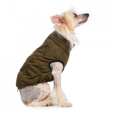 Куртка на молнии для собак M зеленый (унисекс)